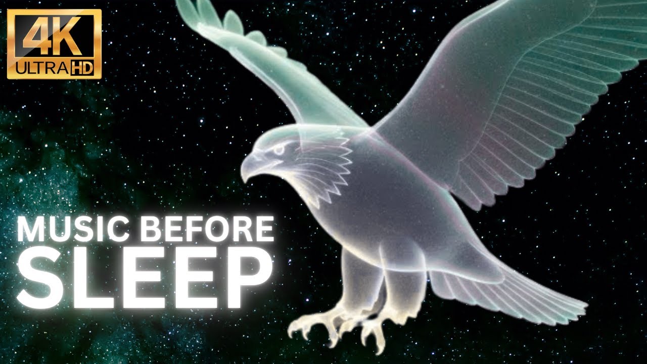 Holographic Animal Video for Relaxation | Sleep-Inducing Holograms & Calming Music