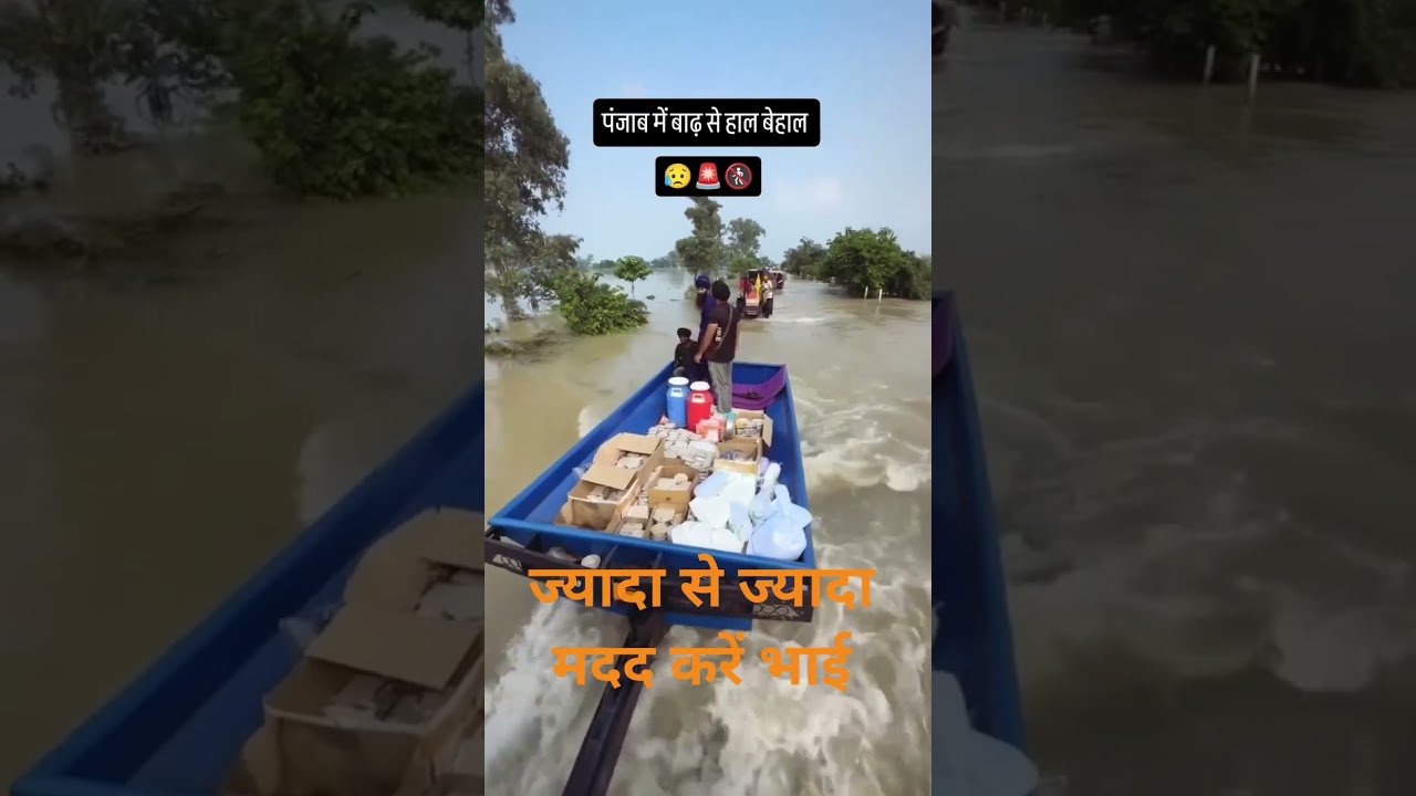 पंजाब के लोगों कि मदद करें🙏 #short#viral#video#funnydaud