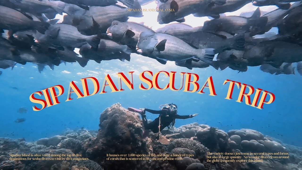 SIPADAN Scuba Trip ดำน้ำสิปาดัน สวรรค์ใต้น้ำประเทศมาเลเซีย  | mininuiizz