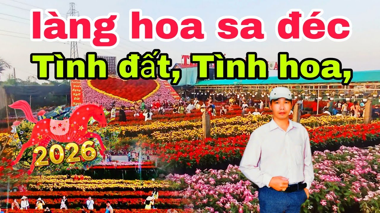 hoa " làng hoa sa đéc " Tình đất " Tình hoa" 2026" phát hiện hoa quá đẹp"