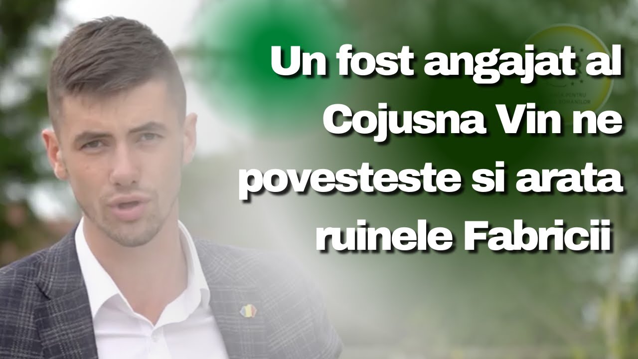 Cum Zina Greceanii a falimentat Fabrica Cojusna Vin