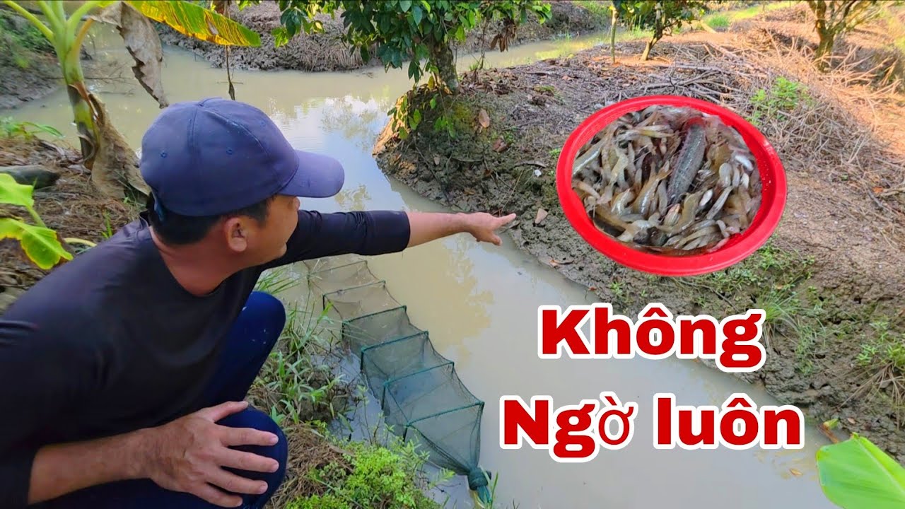 Thật Không Thể Ngờ Chỉ Sau Một Đêm Mà Trúng Mánh Đủ Loại | TTVlog 