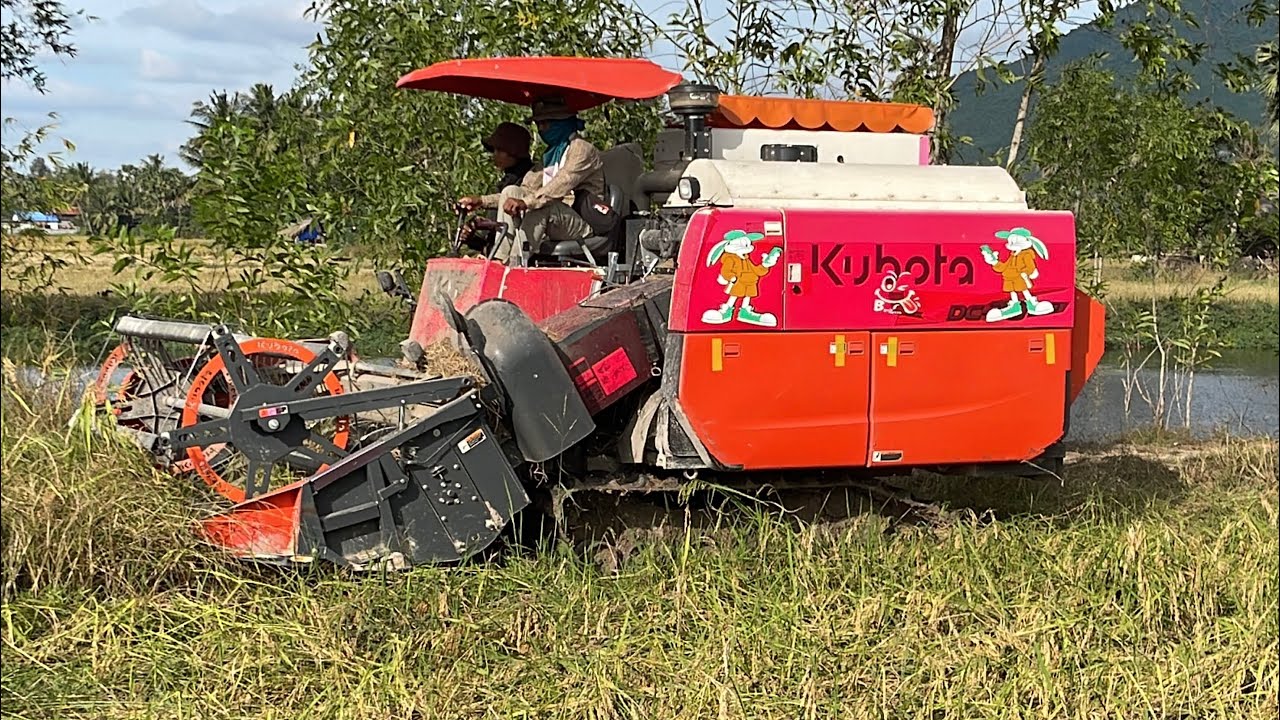 Ngày đầu vụ của a máy cắt lúa kubota dc70
