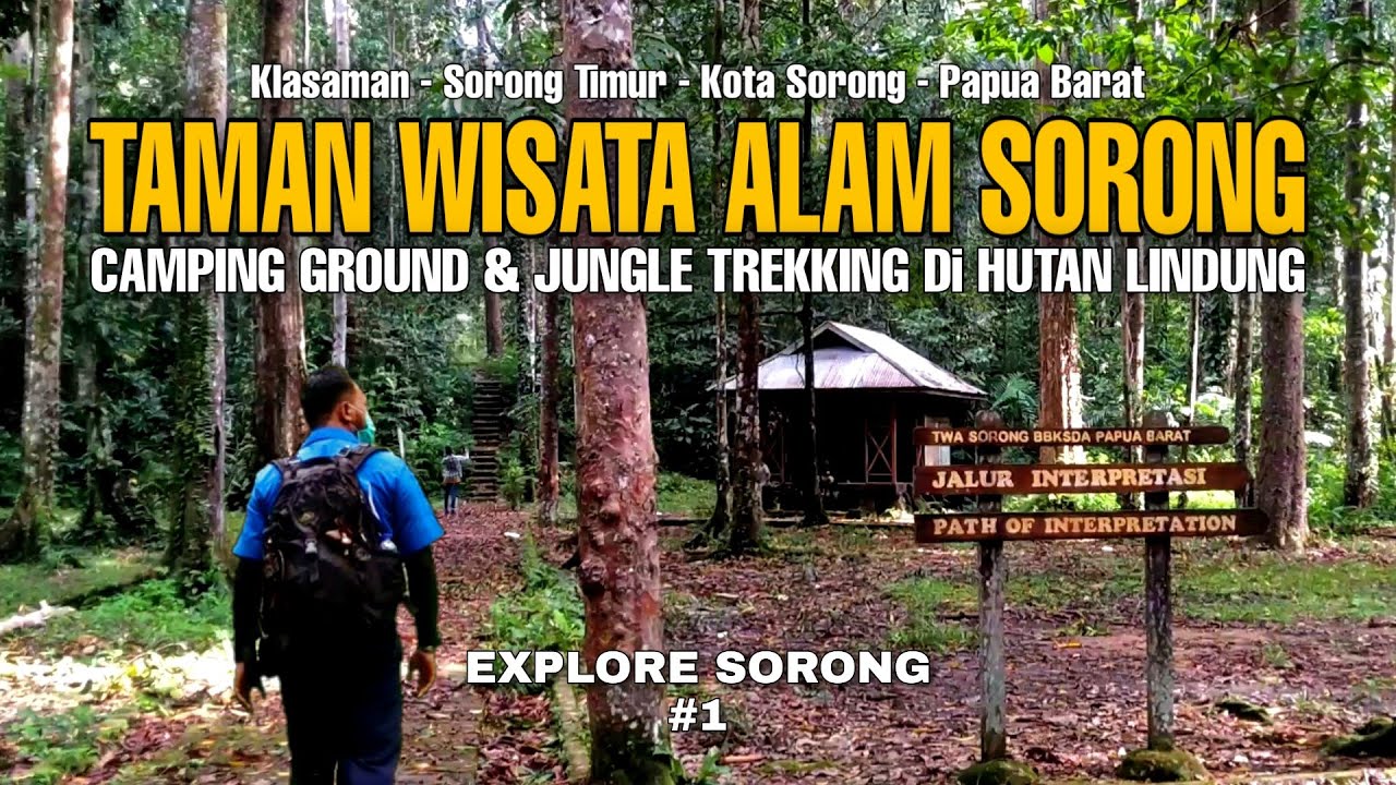 TAMAN WISATA ALAM SORONG || Lokasi camping dan jungle trekking di Sorong