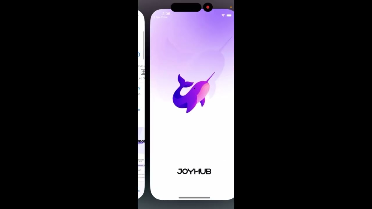 JOYHUB APP - what is it
