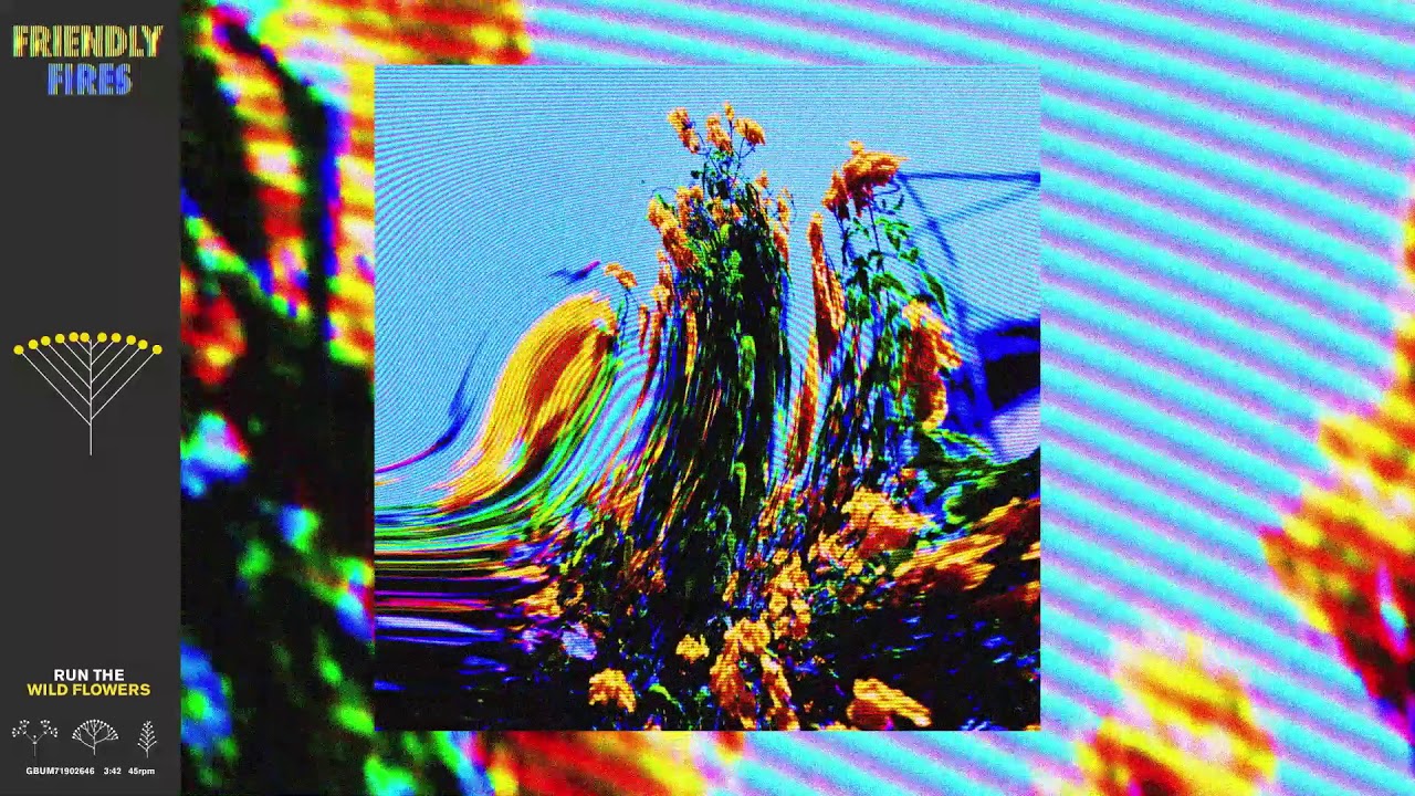 Friendly Fires - Run The Wild Flowers (Visualiser)