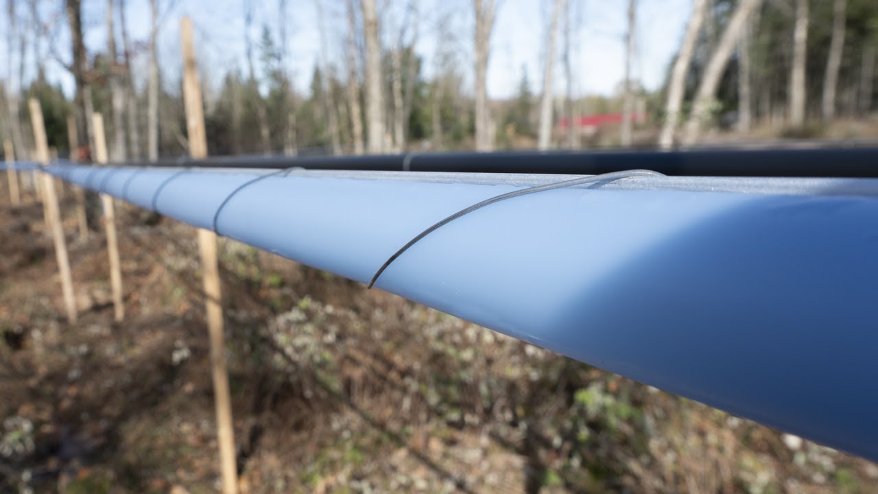 Maître-ligne Lynché CDL