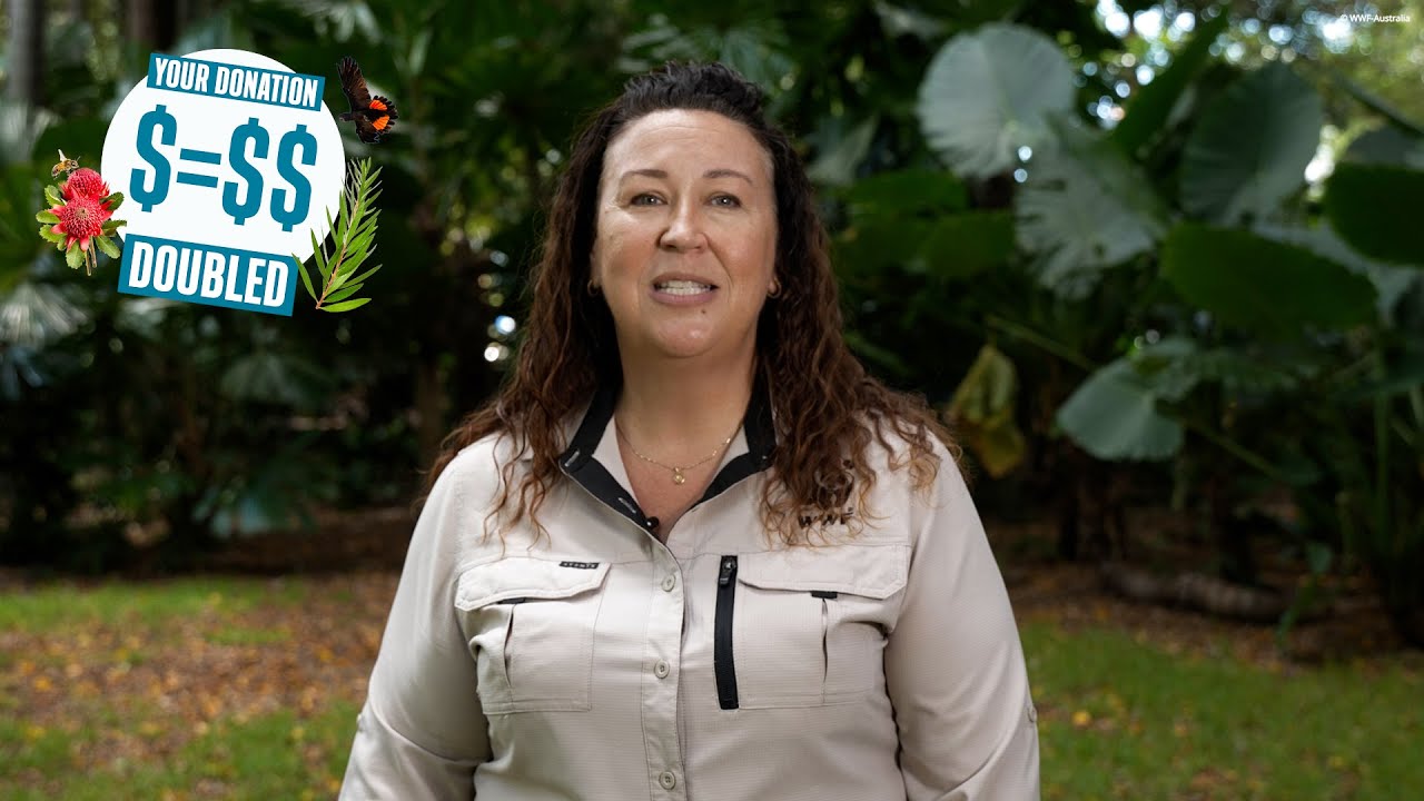 Благотворительный день WWF-Australia 2026 &mdash; пожертвования удваиваются!