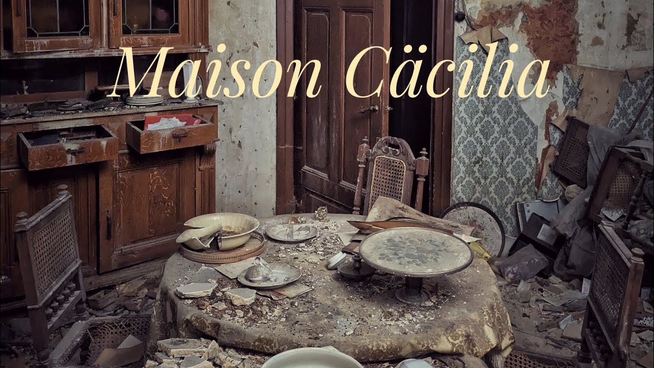 Die Spinne der Spinnen im verlassenen Haus