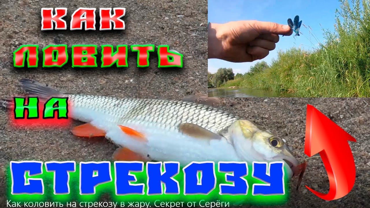 Как ловить на стрекозу в жару  Секрет от Серёги