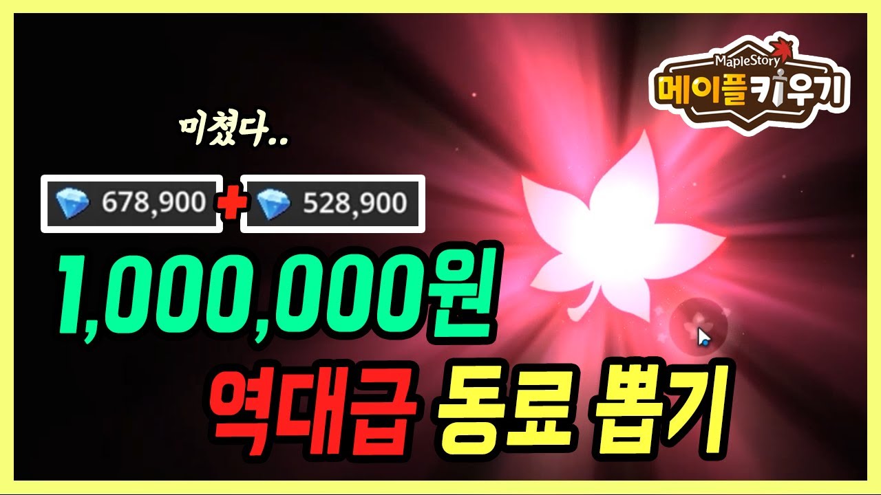 【메이플 키우기】 120만원 현질 뽑기! 동료 무한으로 뽑아봤습니다
