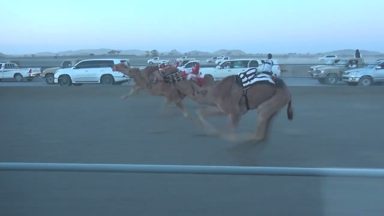 الشوط الاول (ميثاق)لـ عبدلله بن هاشل السعدي التوقيت:٢:٠٤