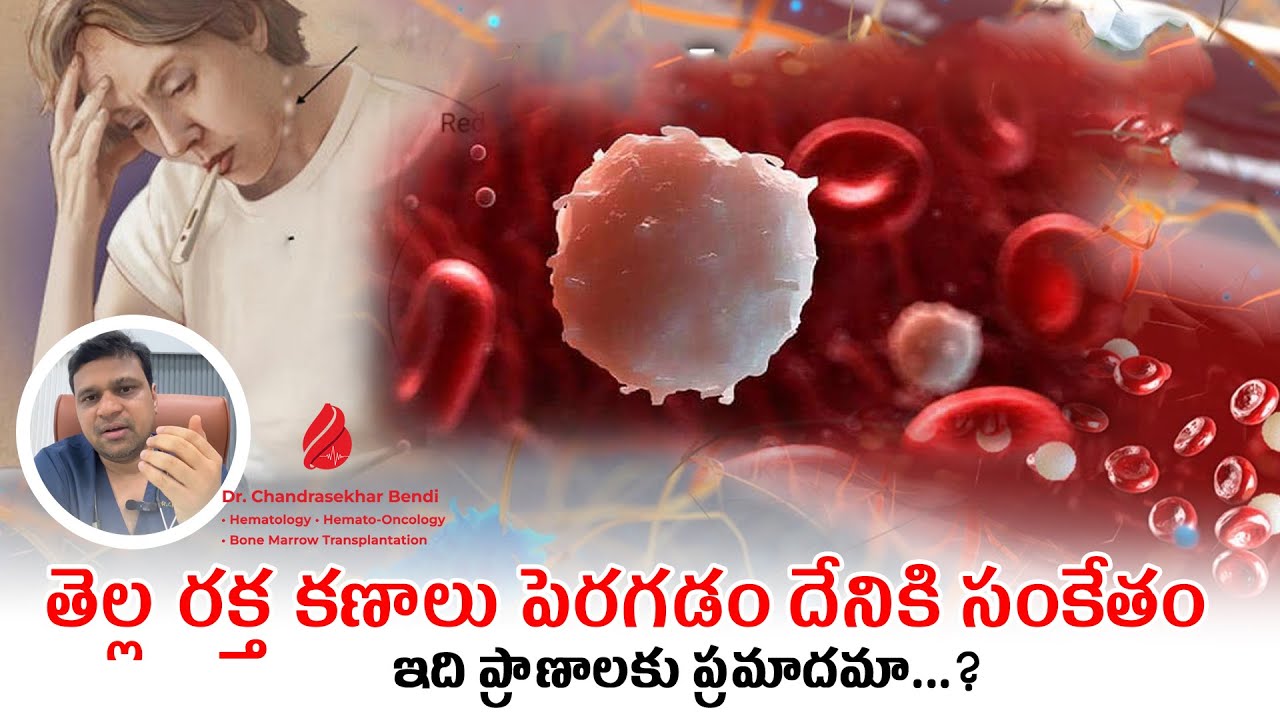 తెల్ల రక్త కణాలు పెరగడం దేనికి సంకేతం ఇది ప్రాణాలకు ప్రమాదమా  | #hematologist | Dr. Chandrasekhar
