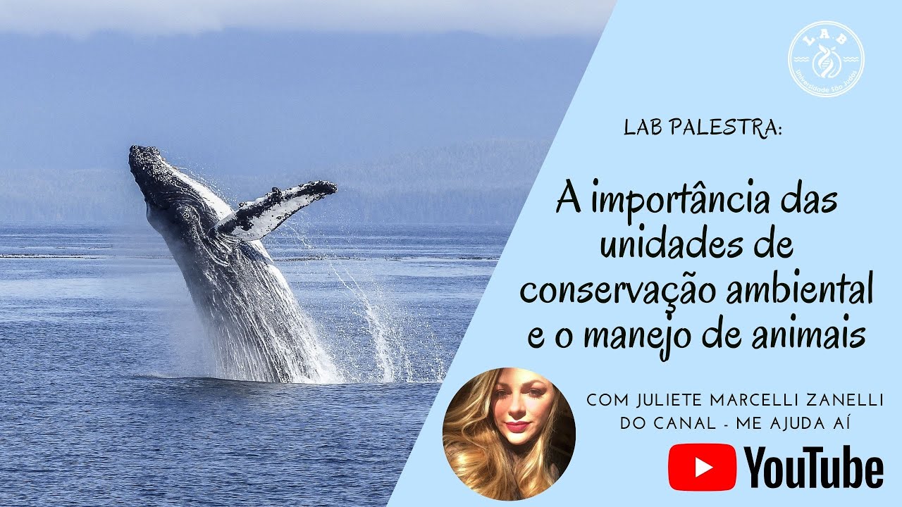 A importância das unidades de conservação ambiental e o manejo de animais