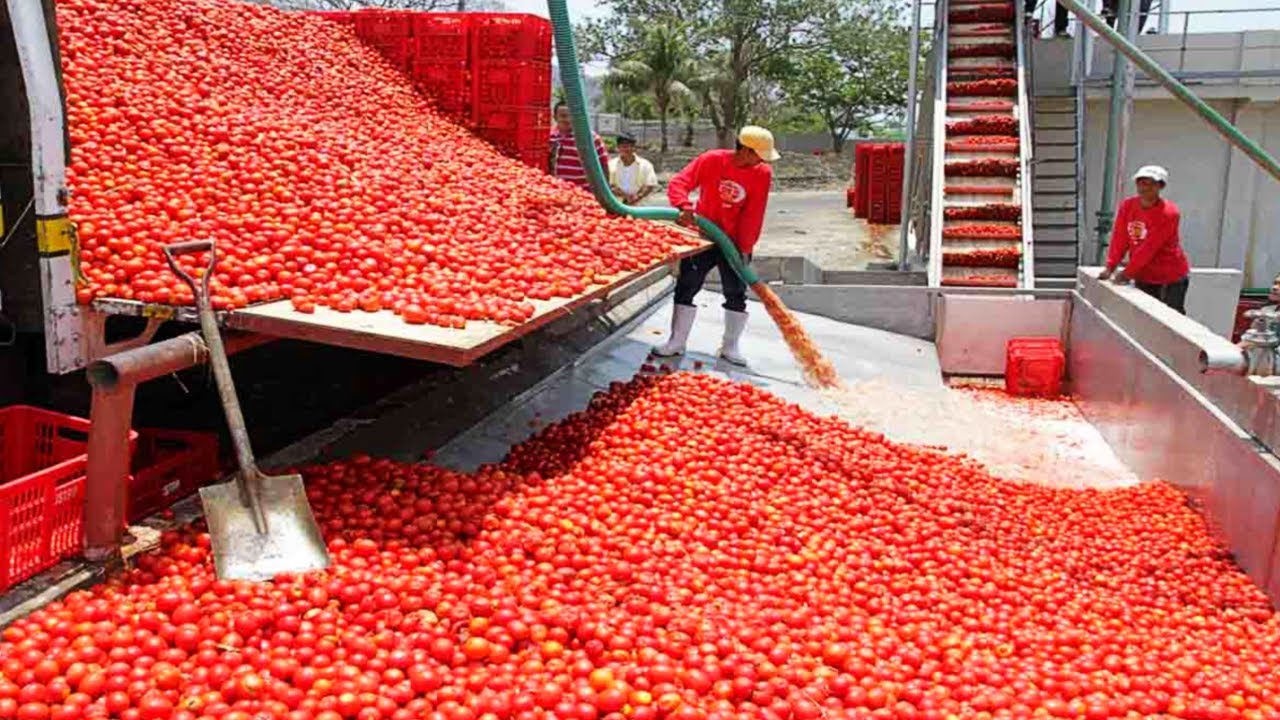 The Fastest Workers in the World. God Level Fast&hellip;
