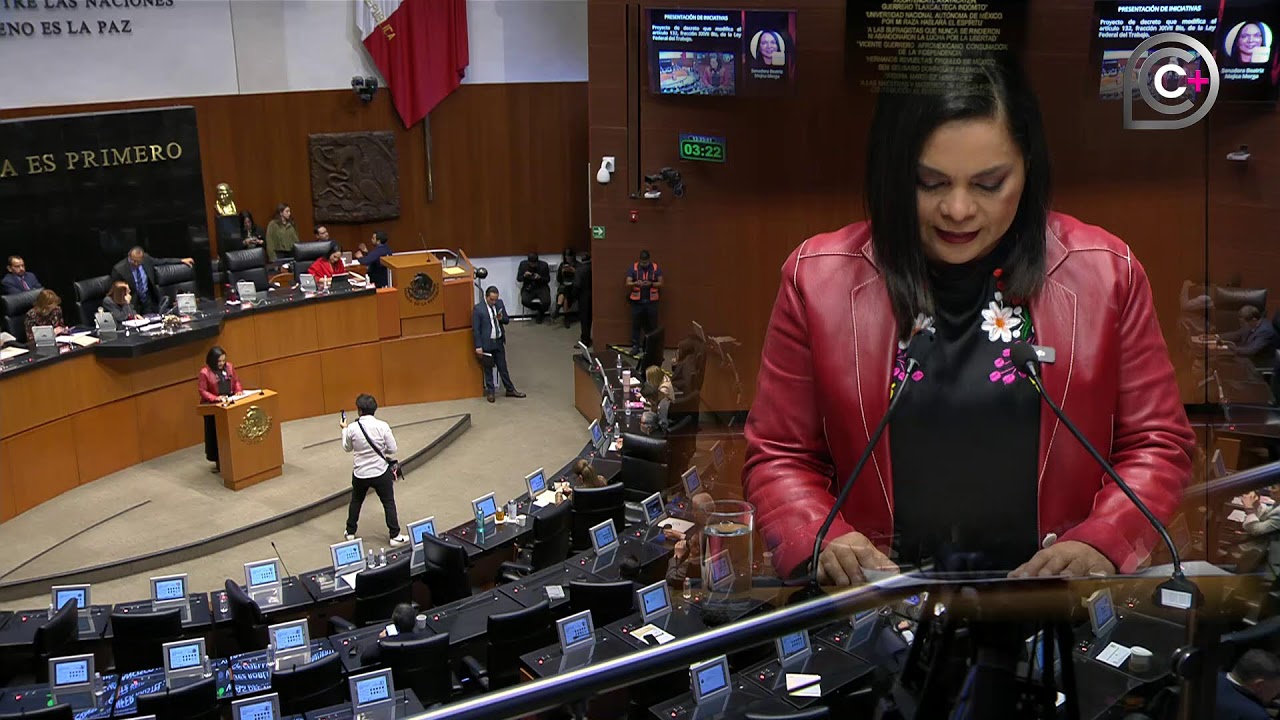 Sesi&oacute;n de la C&aacute;mara de Senadores, del 27 de noviembre de 2025