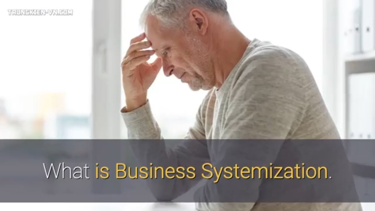 What is Business Systemization.
