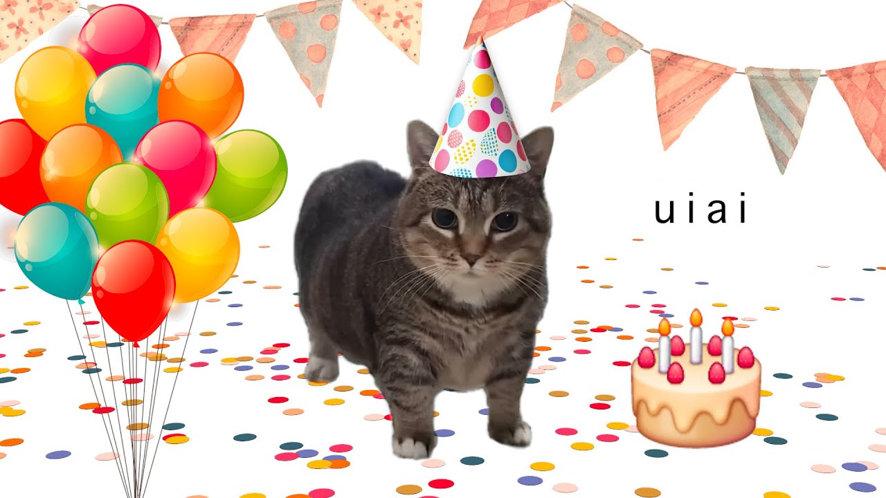 OIIAOIIA CAT Happy Birthday to You | Spinning Cat Uia Meme