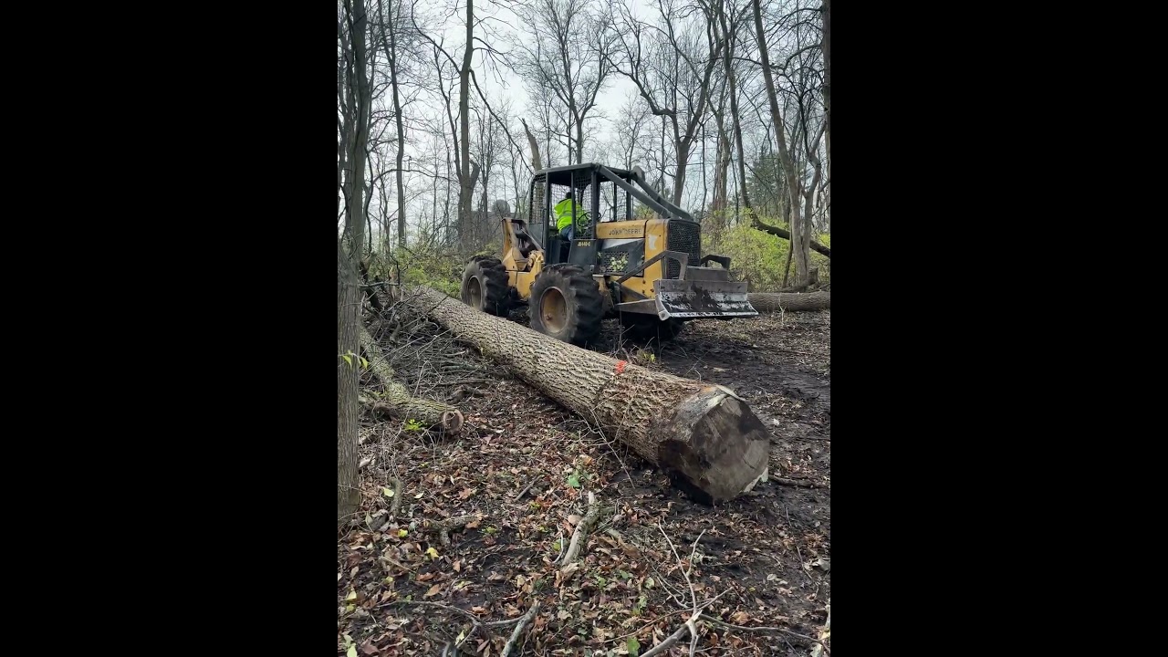 Close Call! 😰  CABLE BREAKS winching in a Big Black Walnut Veneer Log! John Deere 440c Skidder