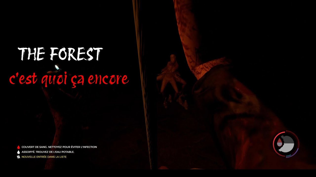 the forest visite touristique des grottes