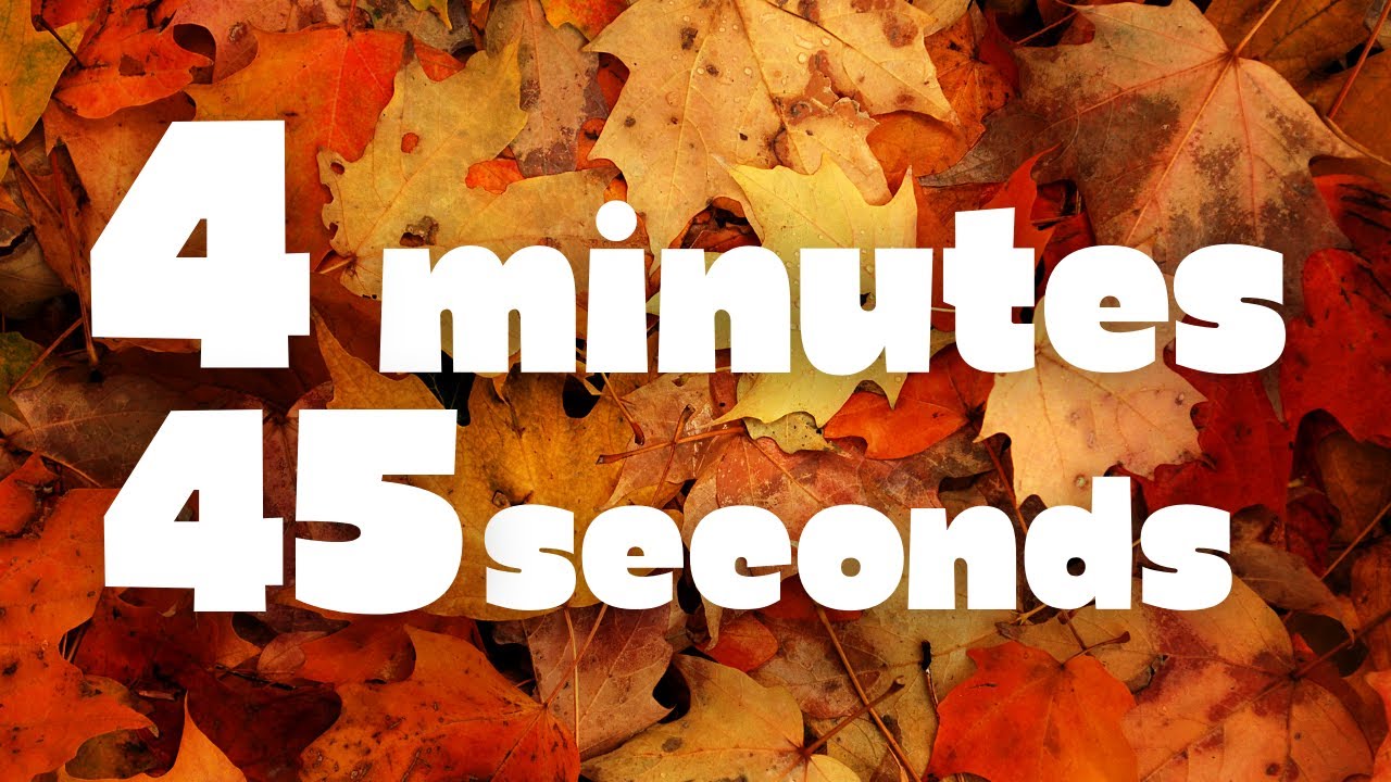 4 Minutes 45 Seconds Countdown Timer | Leaves