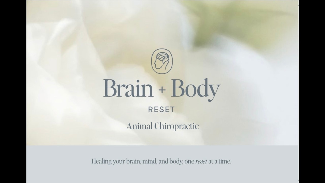 Animal Chiropractic: Helping Your Pet Move, Feel & Function at Their Best