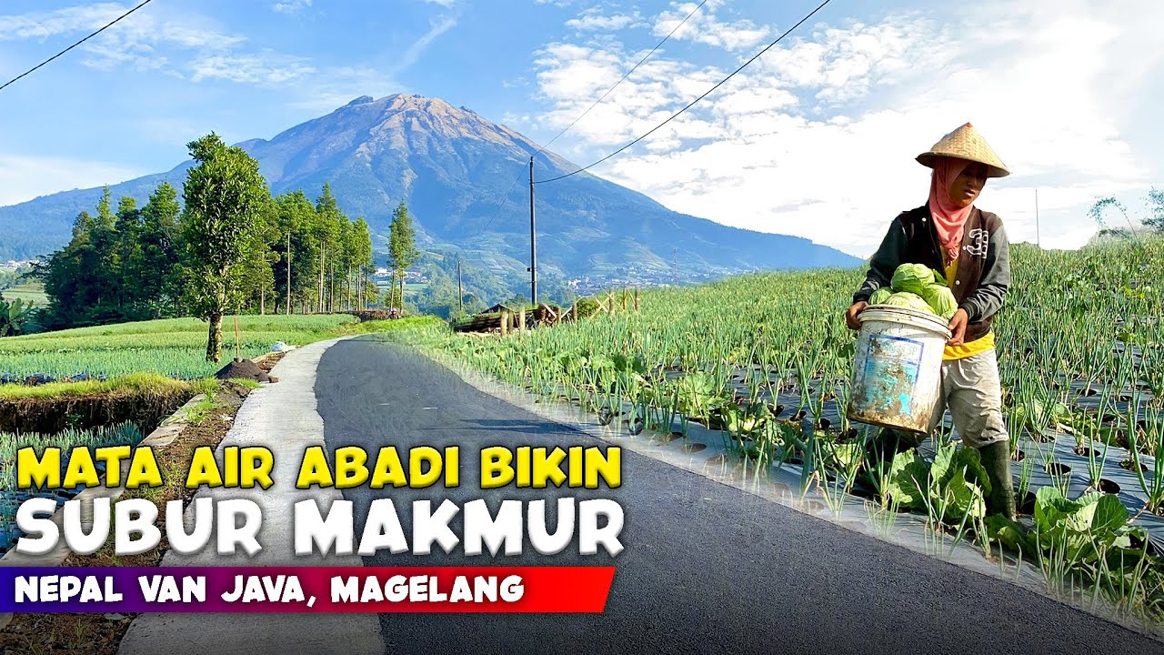 TAK PERNAH KERING !! MATA AIR ABADI DESA NEPAL VAN JAVA GUNUNG SUMBING - Cerita Desa Butuh, Magelang
