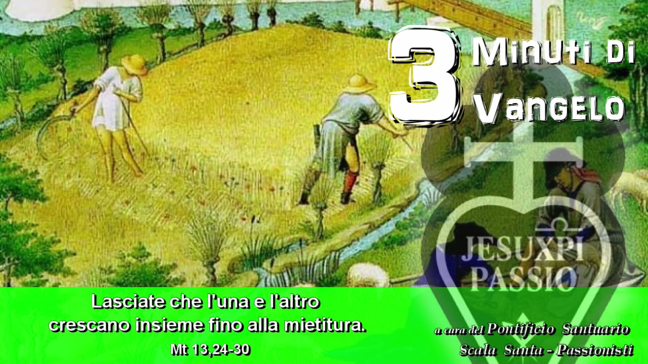 3 minuti di Vangelo. Il grano e la zizzania.