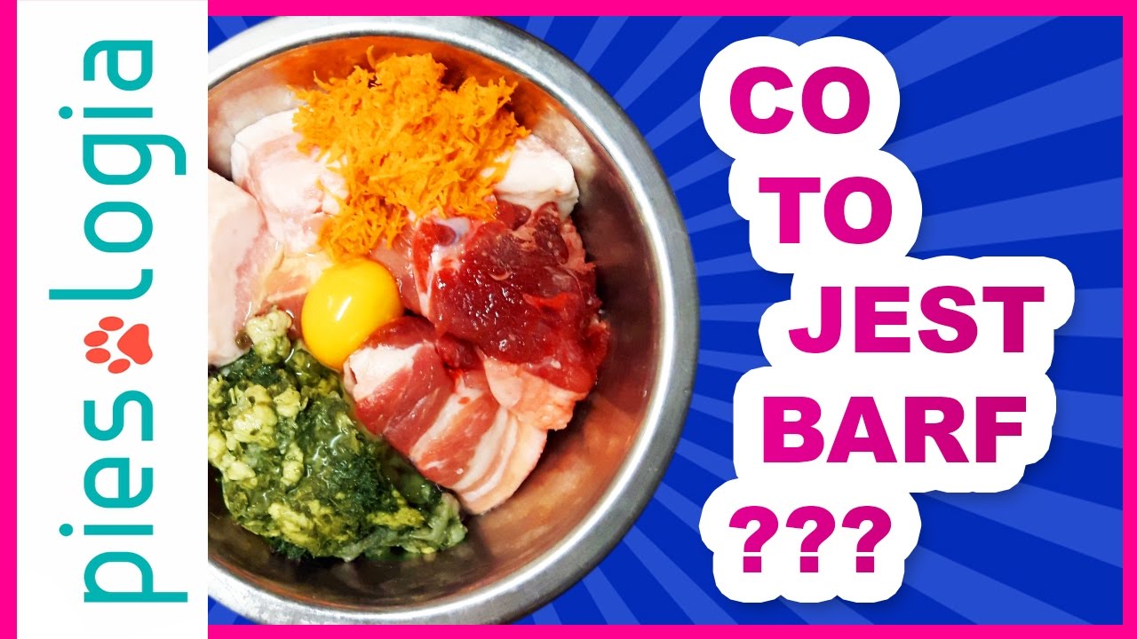Co to jest BARF?