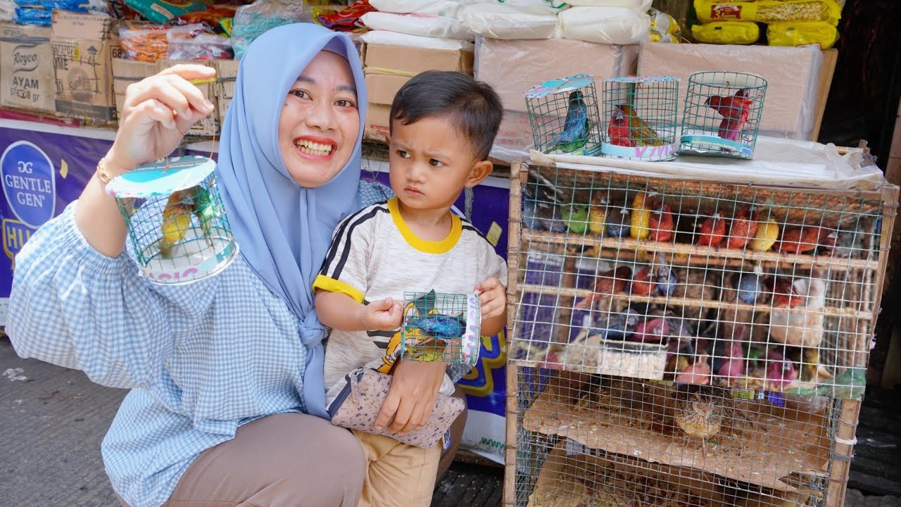 AZAM BELI BURUNG WARNA WARNI BUAT ALI 🐦 DAN TERBANGIN BURUNG