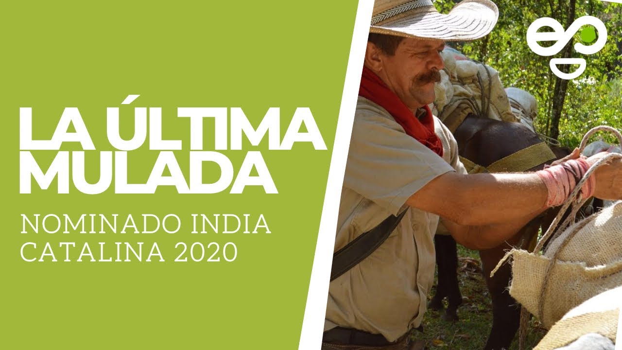 La &Uacute;ltima Mulada