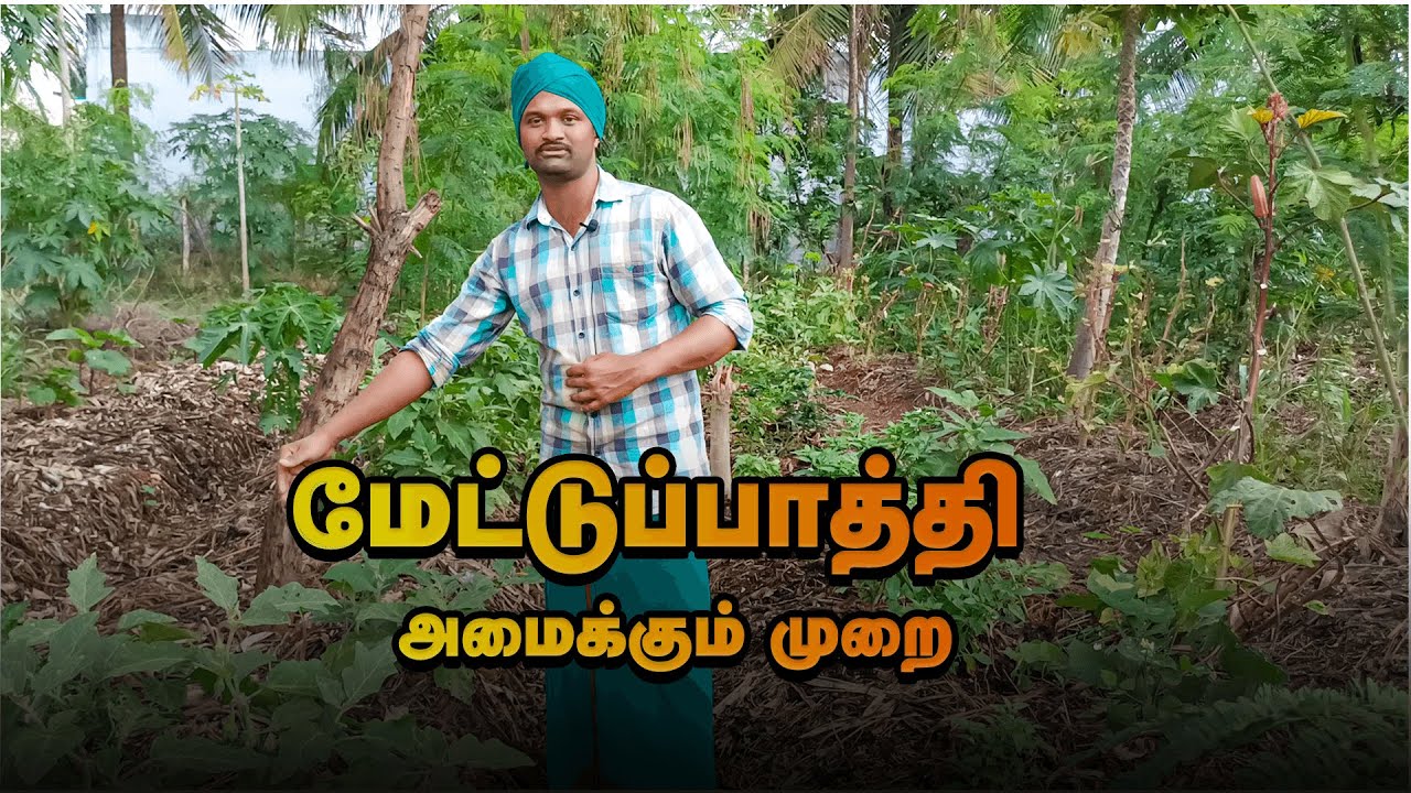 மேட்டுப்பாத்தி இயற்கை விவசாயம்  | மேட்டுப்பாத்தி அமைக்கும் முறை | METTU PATHI AMAIKKUM MURAI