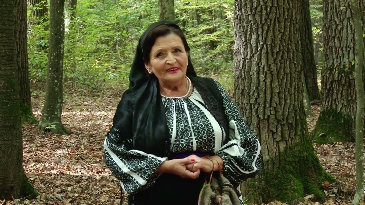Ana BÂRDICI  - ’Nalt e vârful Moldoveanu