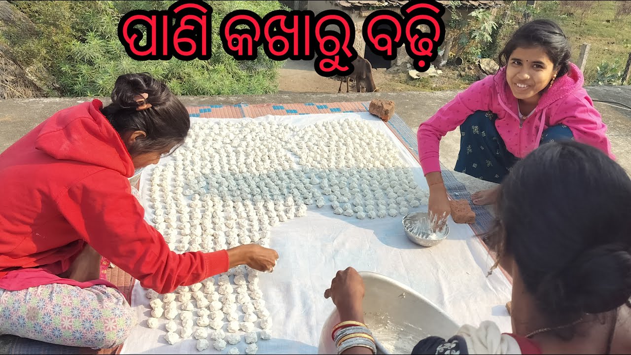 ✨Part -4 ପାଣି କଖାରୁ ବଢ଼ି |Homemade Pani Kakharu Badi in Pure Village Style | pumpkin badi 🎃 |