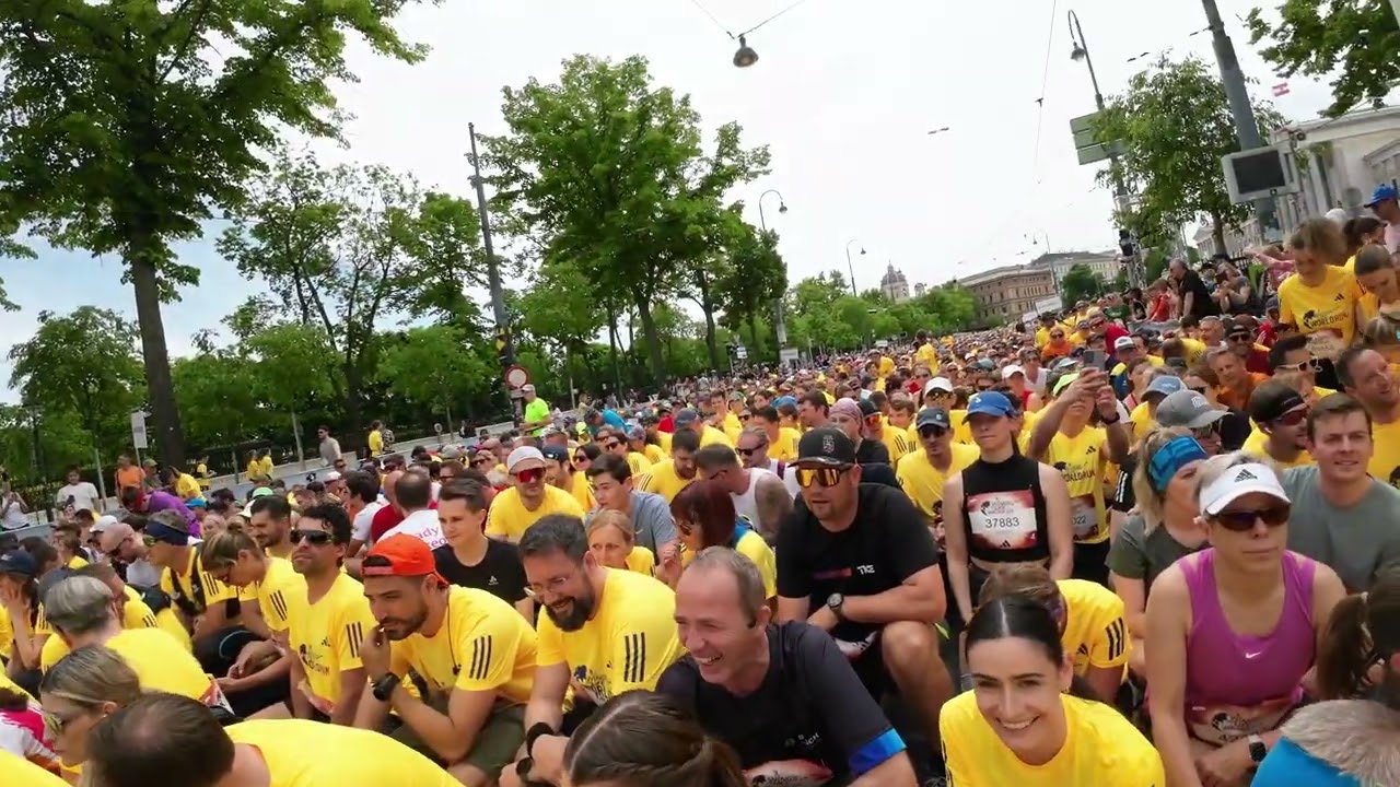 Wings for life World Run 2024