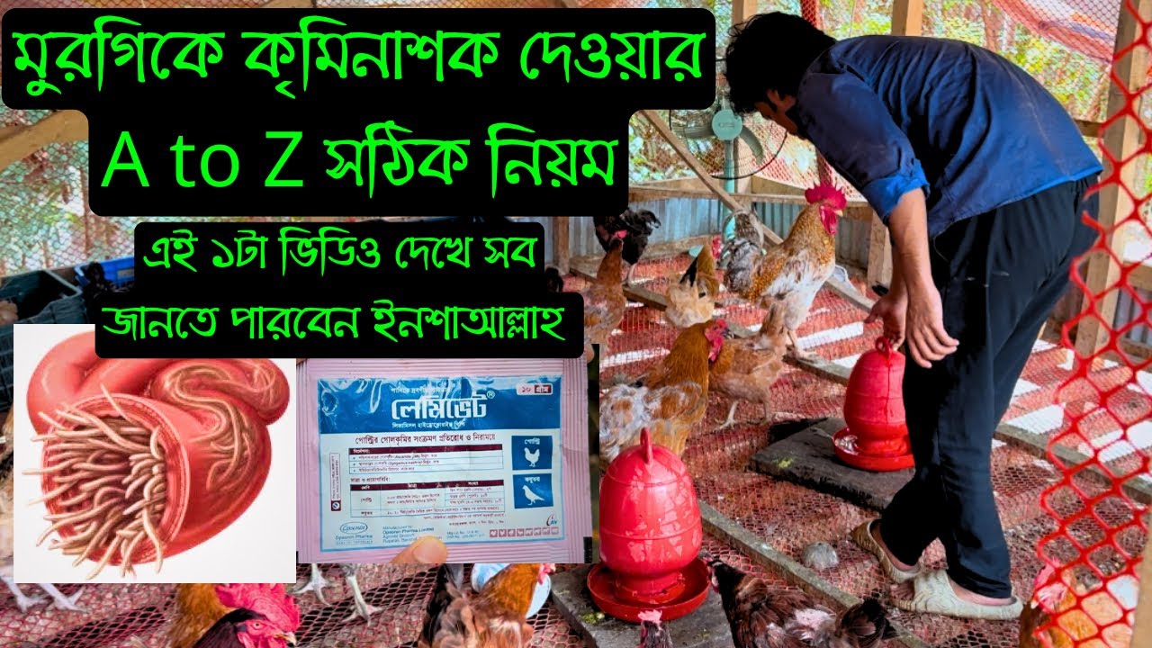 মুরগিকে কৃমির ঔষধ খাওয়ানোর A to Z সঠিক নিয়ম🦠🪱|| কৃমির ডোজ দেওয়ার পদ্ধতি || Bird's Agro