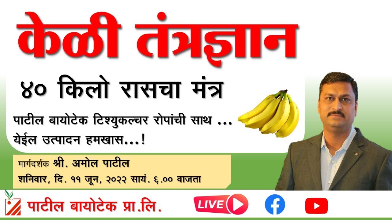 केळी लागवड - 
