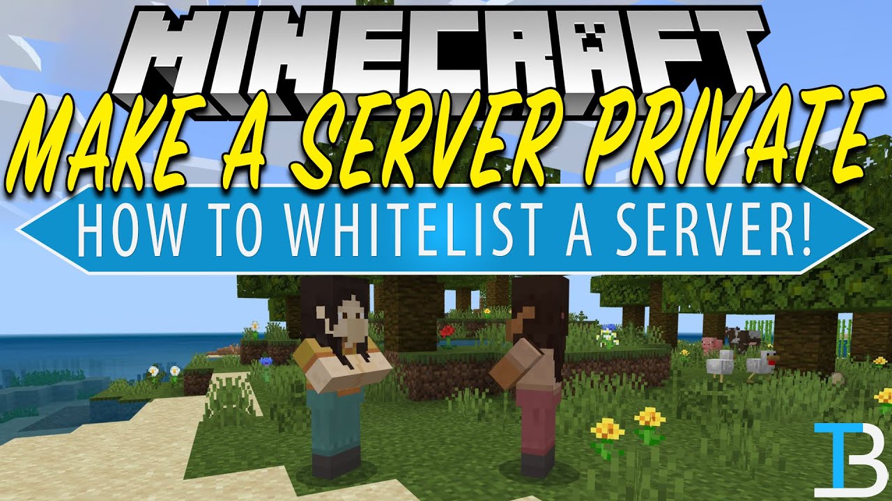 How To Whitelist a Minecraft Server (How To Make a Minecraft Server Private!)
