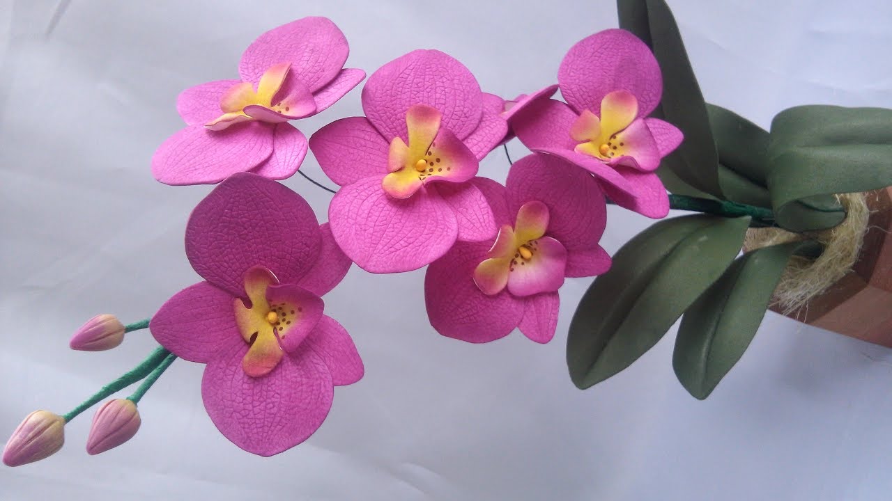 passo a passo da orquidea  phalaenopsis em e.v.a