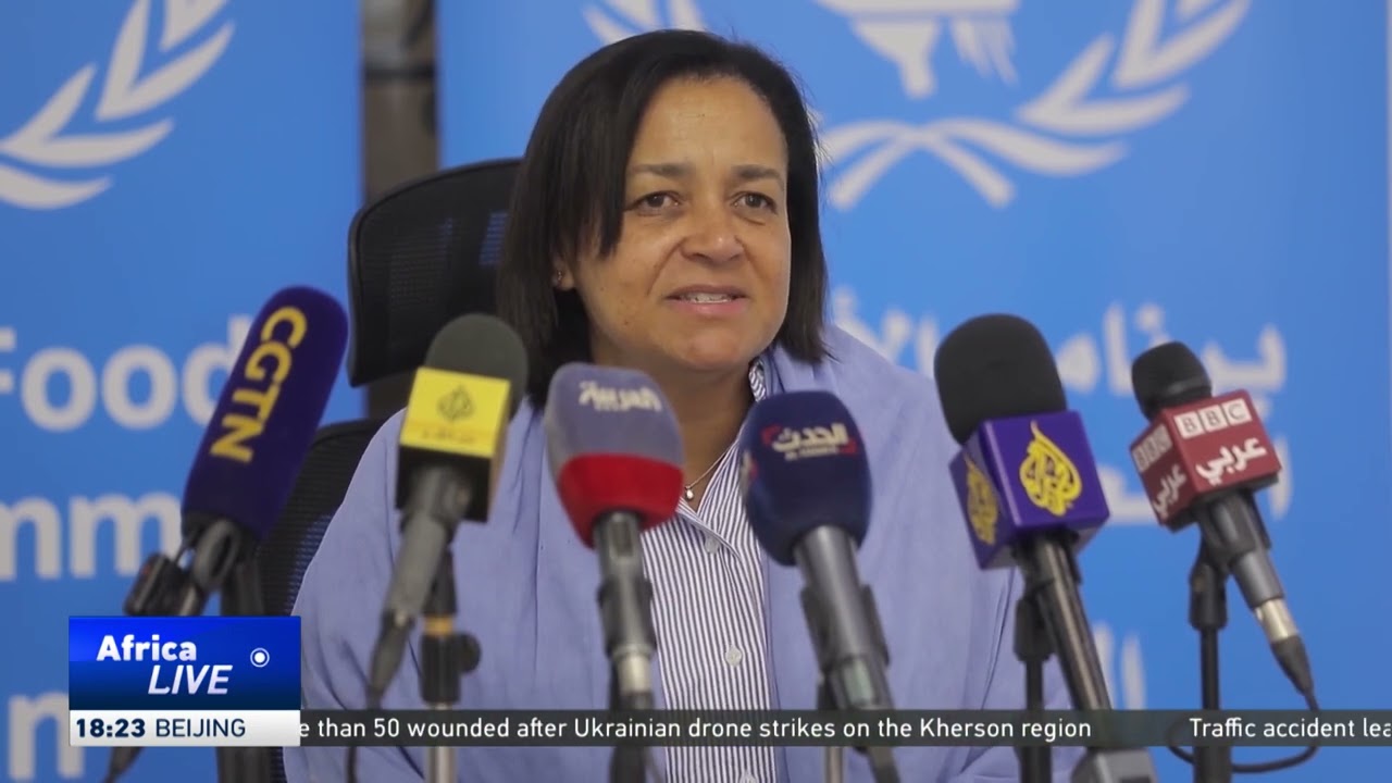 Humanitarian aid struggles continue at Port Sudan