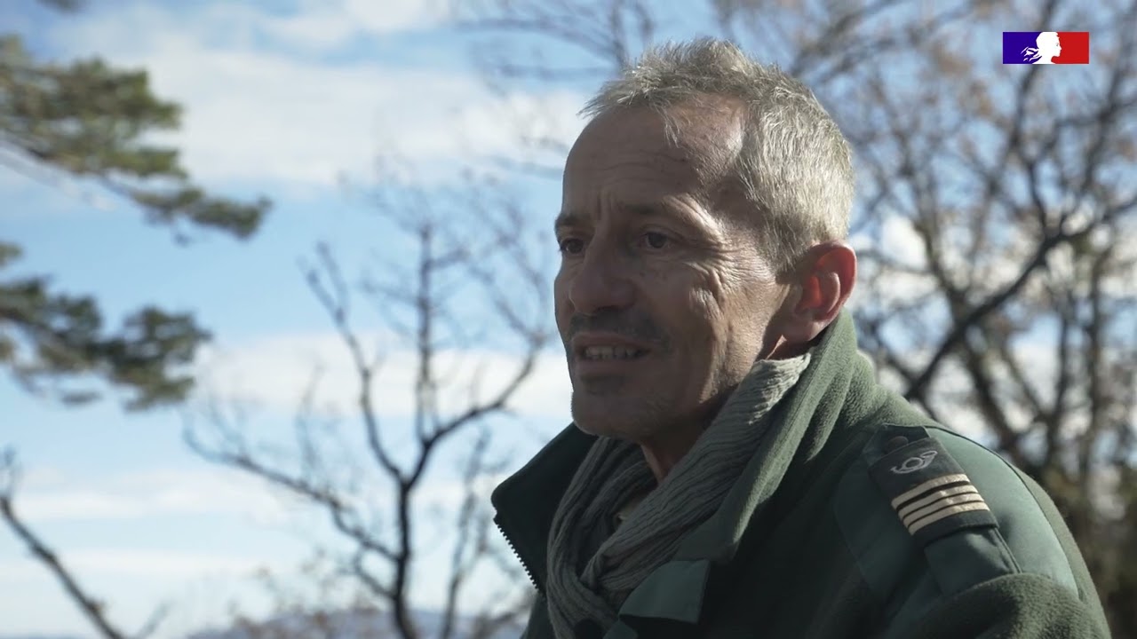 Une plantation labellis&eacute;e &ldquo;bas carbone