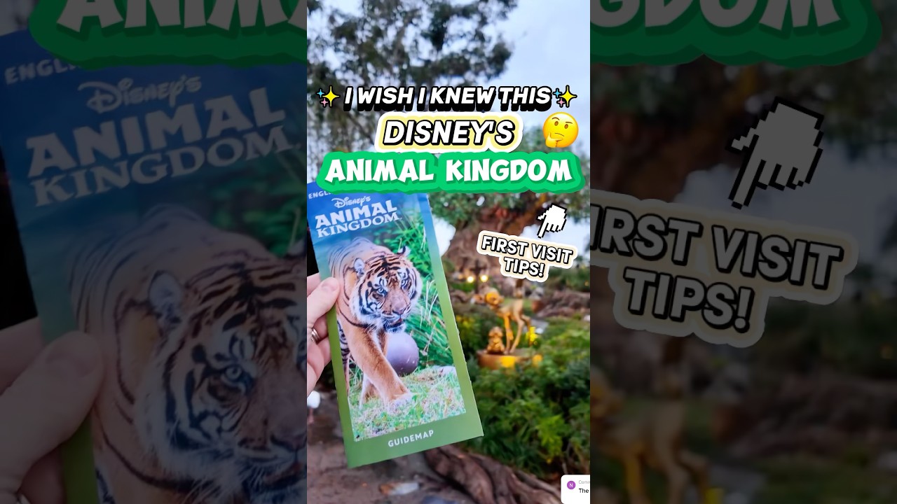 I WISH I Knew This BEFORE Animal Kingdom! 😮🌳(First Visit Planning Tips)