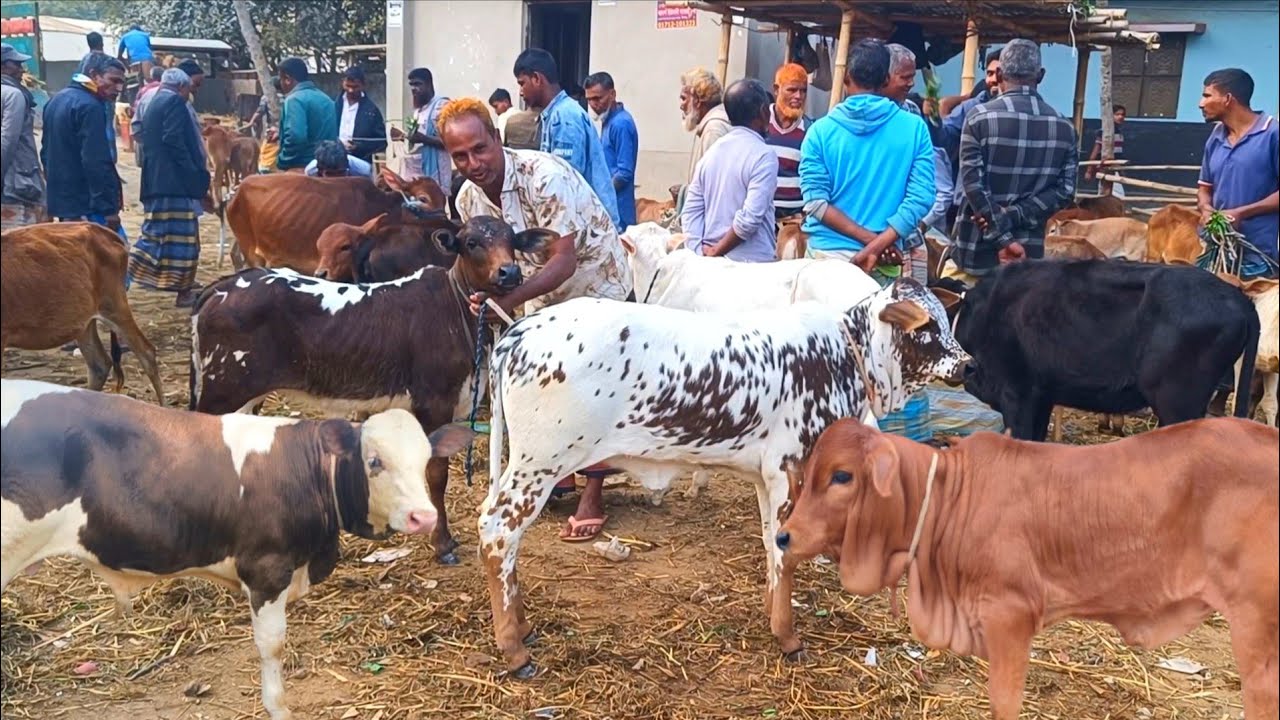 @আজ ২৯ জানুয়ারি