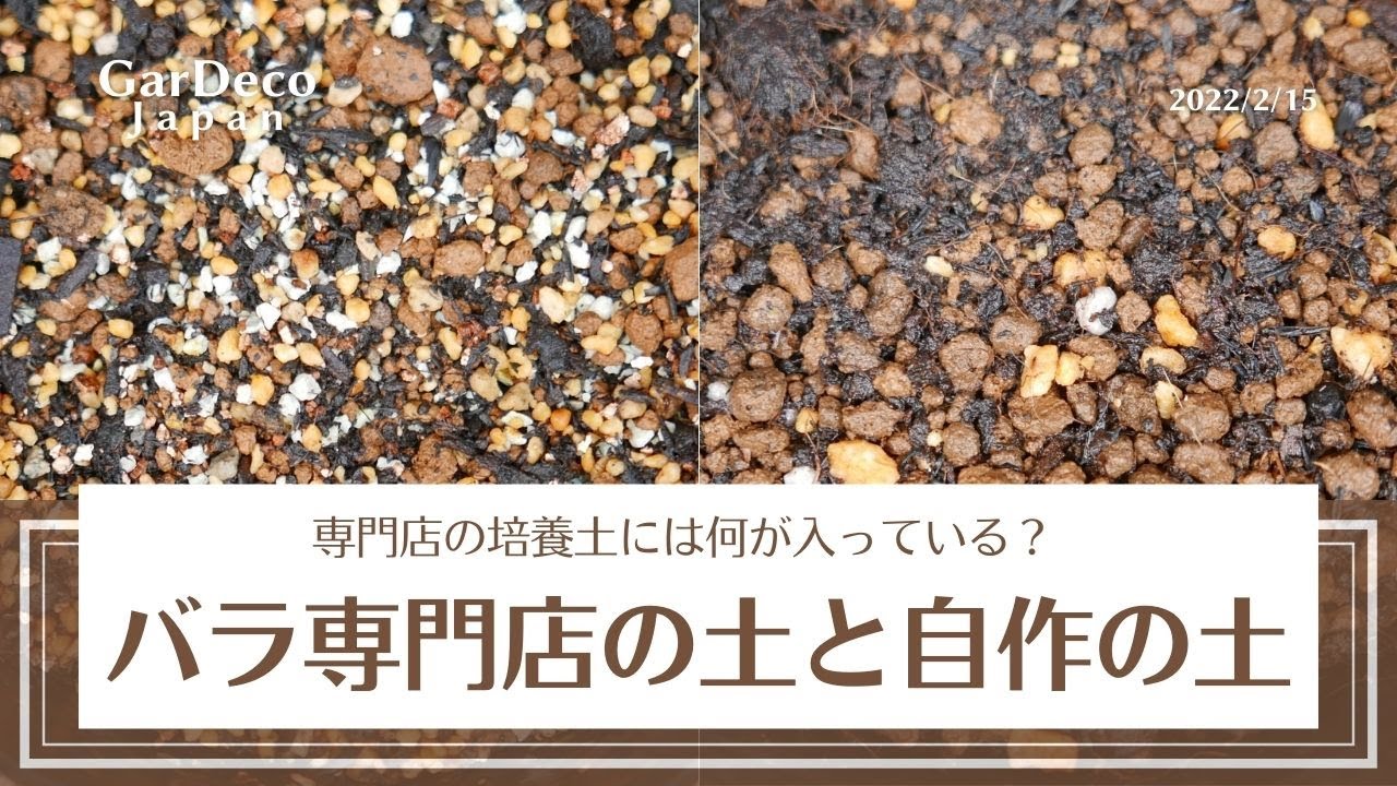 バラ専門店の土と自作の培養土を比べてみる