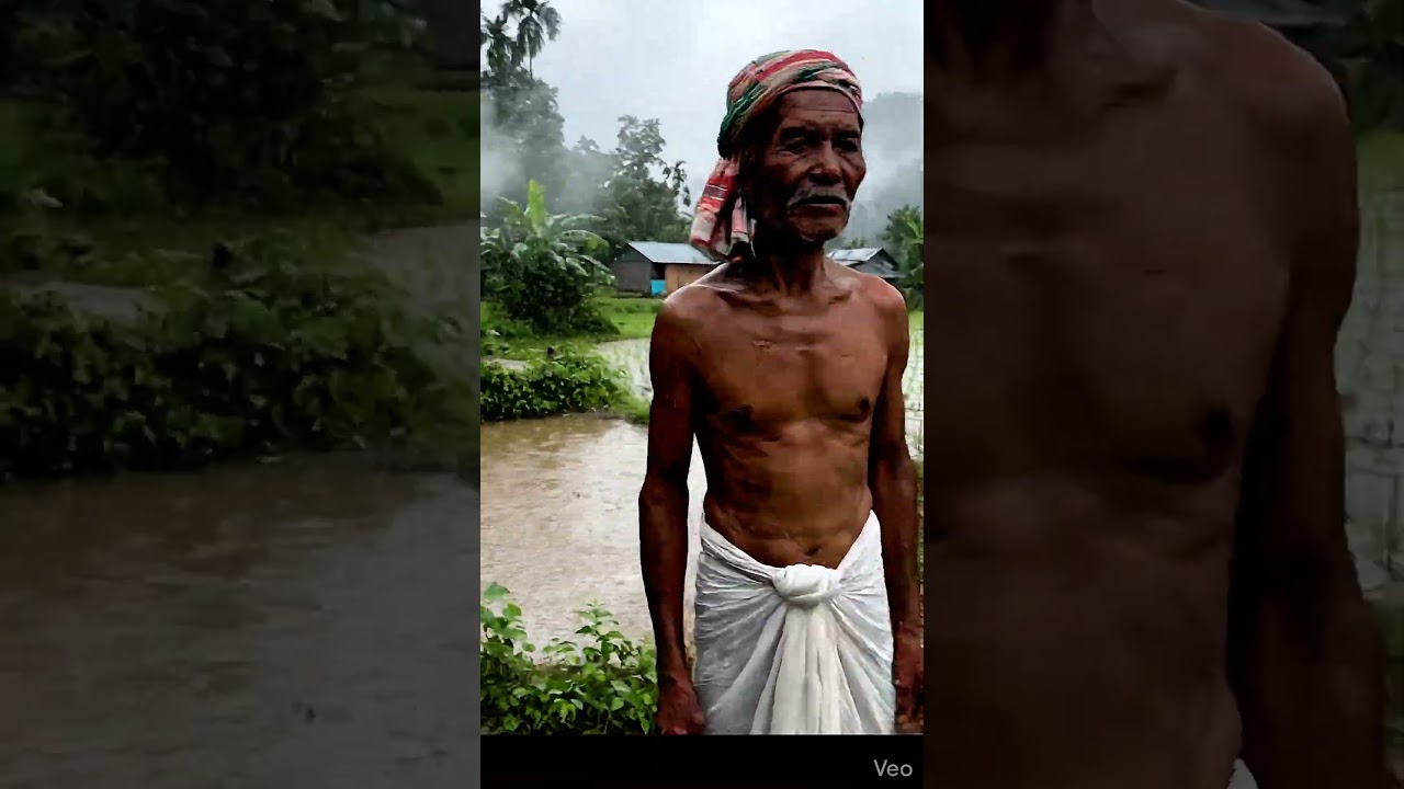 &ldquo;Nature ka asli beauty 🌿:#AssamRain #VillageLifeIndia #MonsoonVibes #NatureReels #moviedalendar