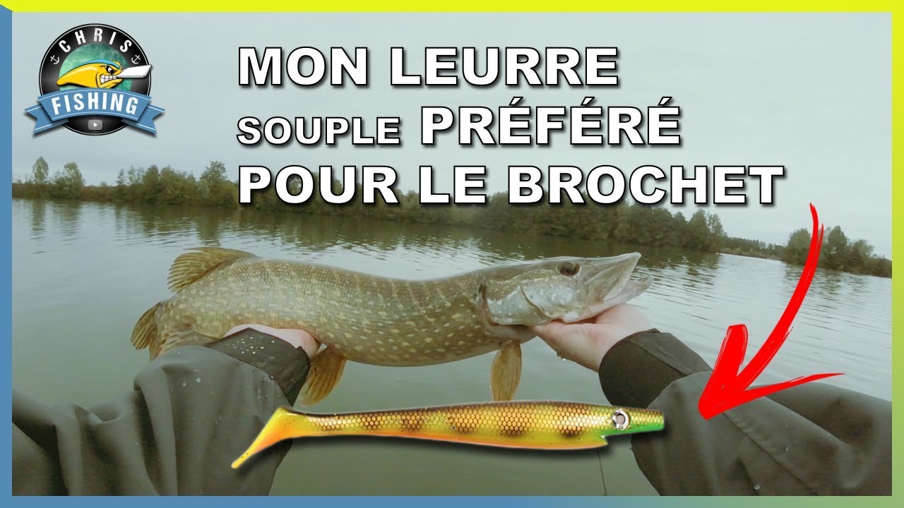 Mon LEURRE souple préférer pour le BROCHET