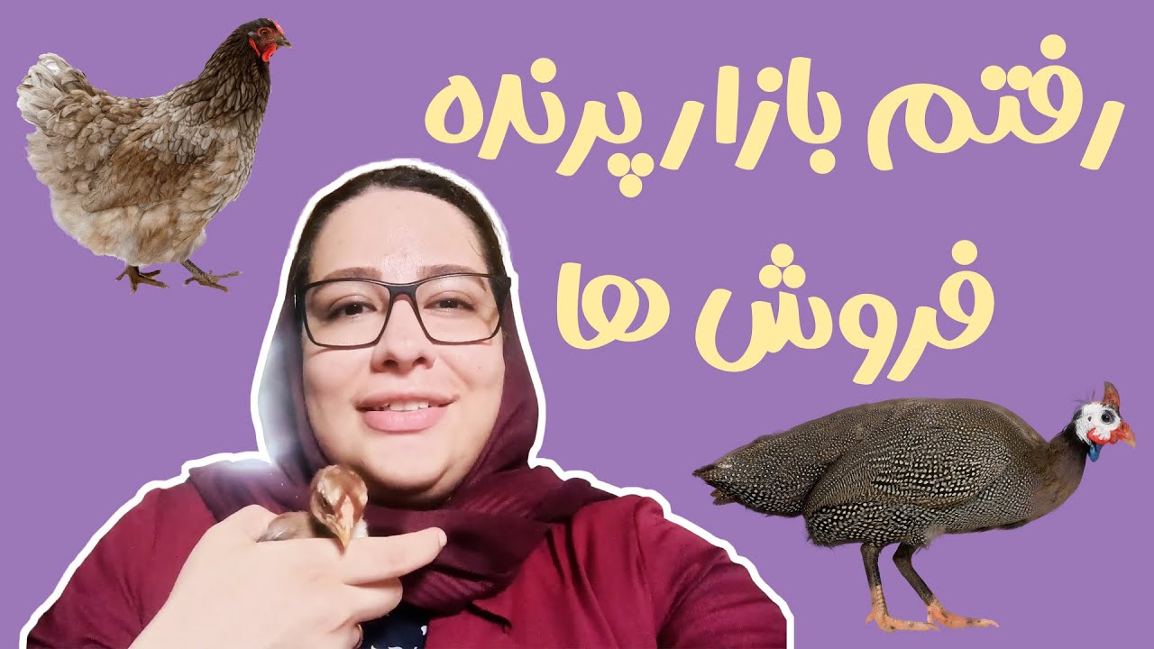 بازار پرنده فروشان آستانه اشرفیه | خرید و فروش انواع پرندگان در بازار طیور