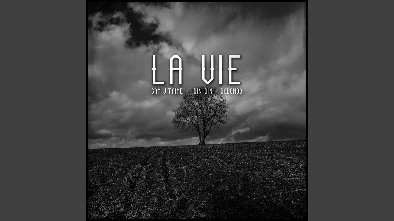 La Vie (feat. Din Din & Bolombo)