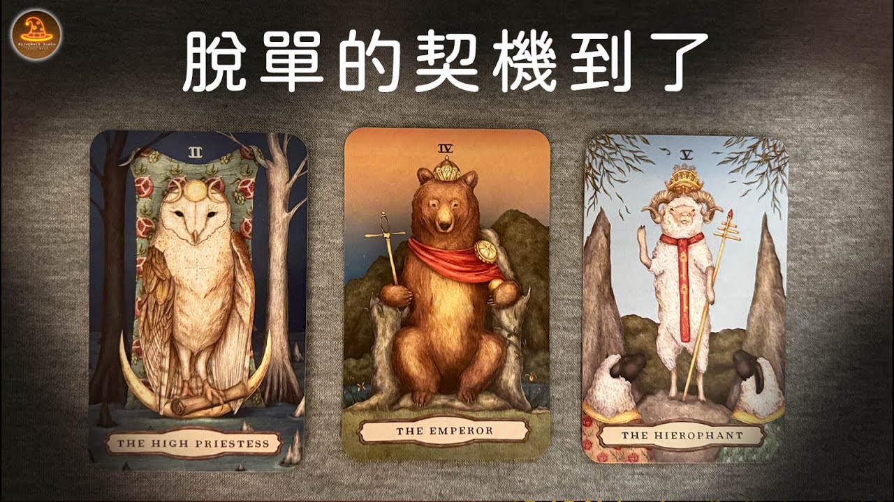 《脫單的契機來了》❤️任何日期可抽牌❤️適用任何時間季節🔮塔羅占卜❤️愛情占卜🔮愛情解析🔮戀愛心事🔮塔羅學習