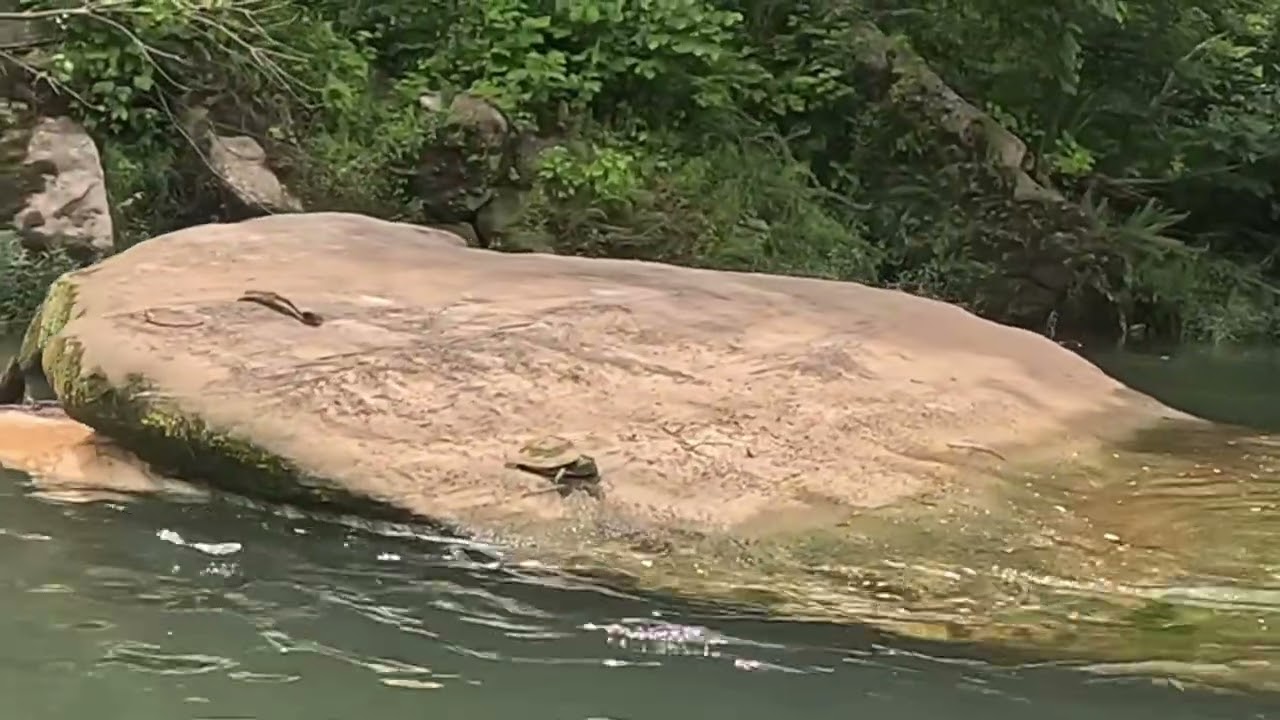 Kayaking the North Fork River, MO